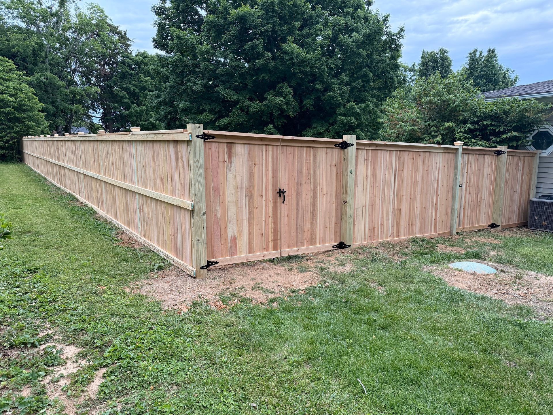 Wooden privacy fence enclosing a grassy yard, with trees and a closed gate.
