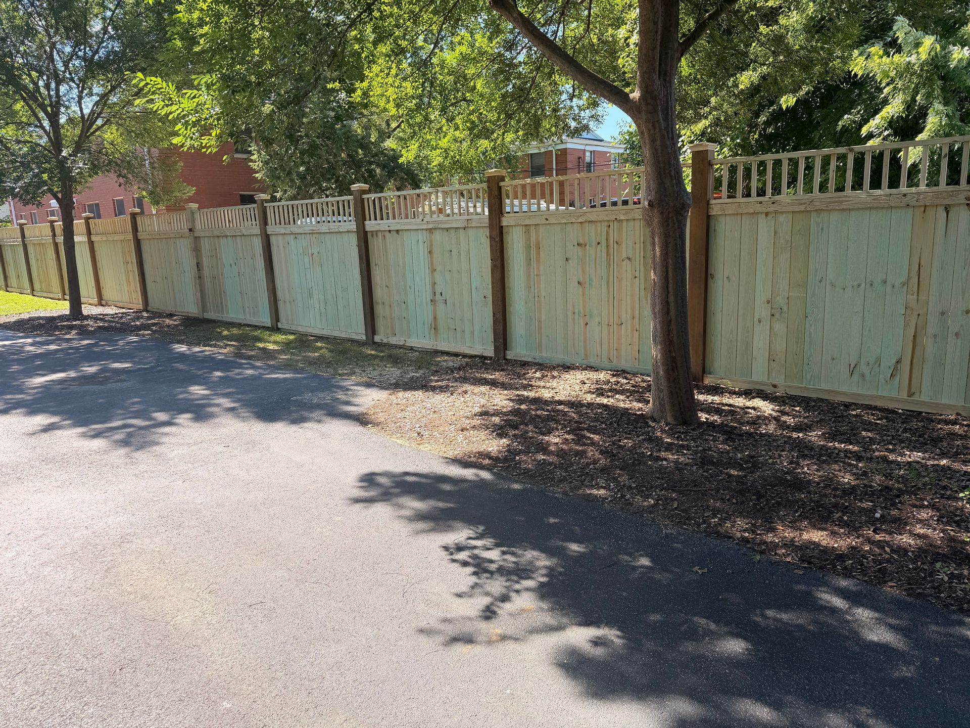 Tree-lined street beside a pale green wooden fence in bright daylight