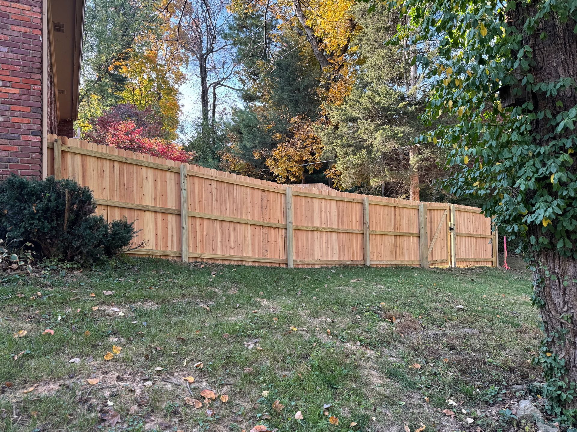 Backyard with a wooden privacy fence, grass, and autumn trees in the background