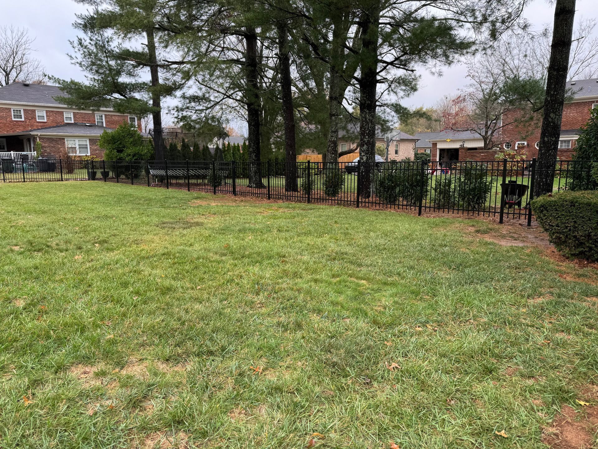 Grassy park with trees and a black fence, bordered by houses on a cloudy day