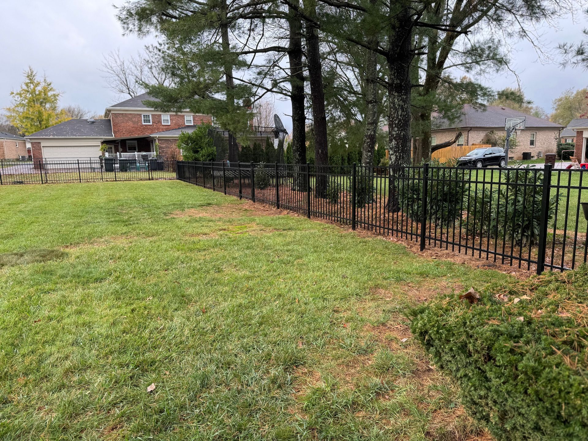 Grassy yard beside a black metal fence and trees, with houses in the background on a cloudy day