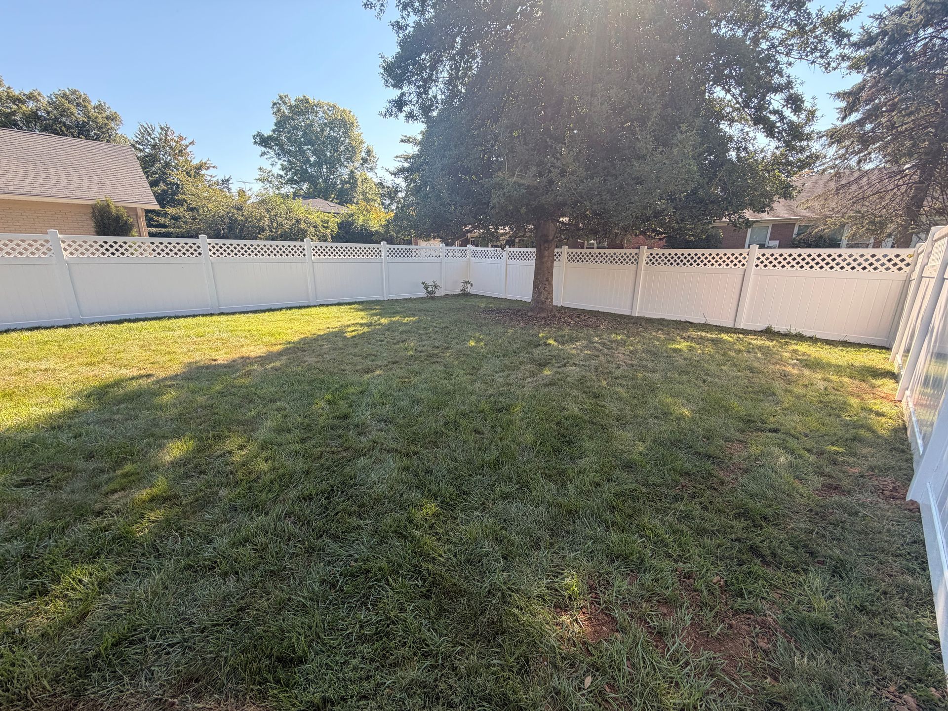 Backyard with a grassy lawn, white fence, and trees in bright sunlight