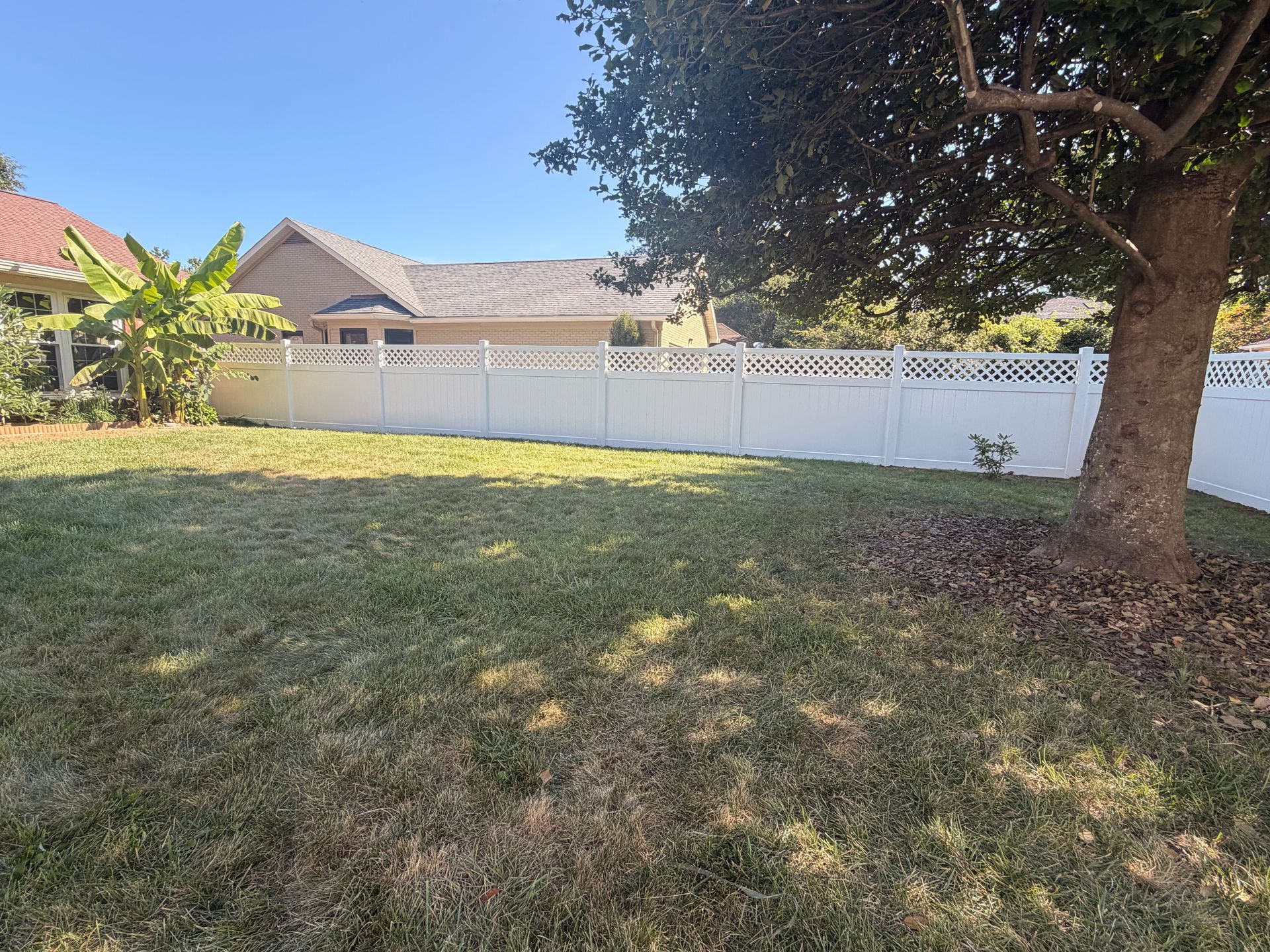 Backyard with a white fence, large tree, and grassy lawn in sunlight