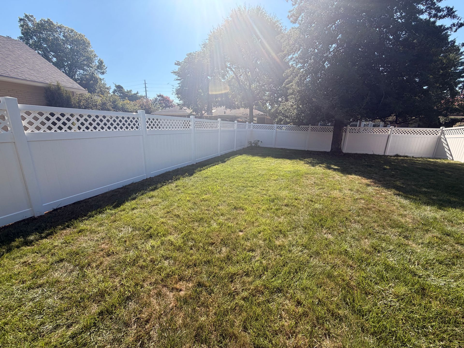 Sunny backyard with green grass, white fence, and a large tree casting shade