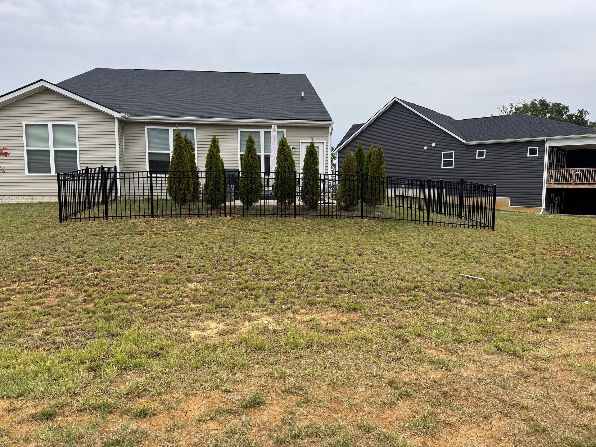 Suburban front yard with black metal fence and row of tall shrubs in front of a house
