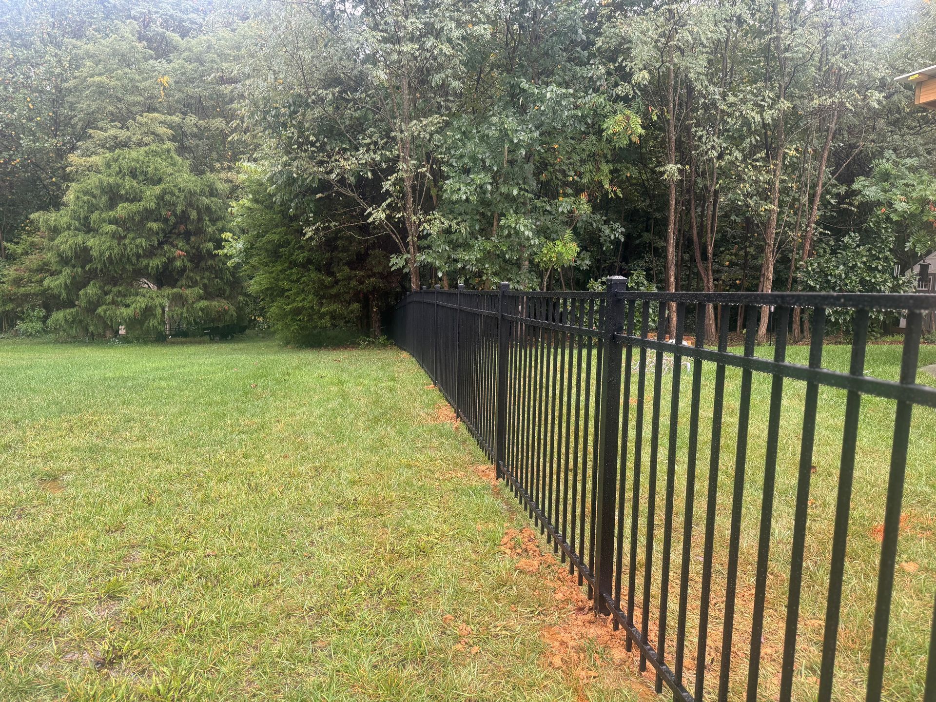 Black metal fence beside a green lawn, with dense trees and shrubs in the background.