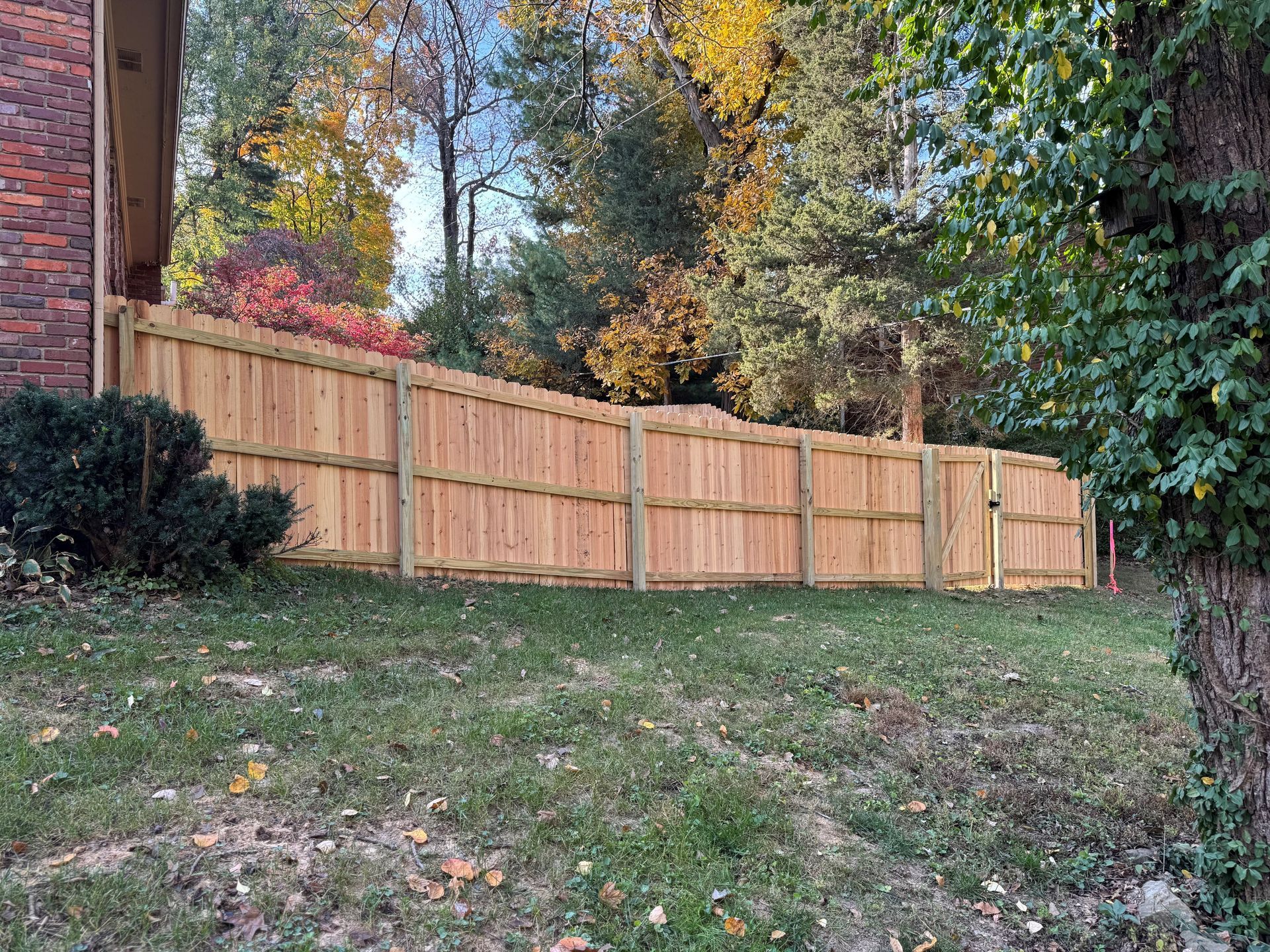 Wooden privacy fence along a grassy backyard with trees and autumn foliage behind it