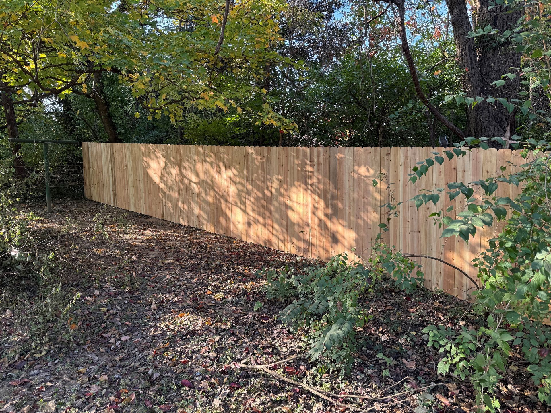 Wooden privacy fence along a wooded yard with fallen leaves and dappled sunlight