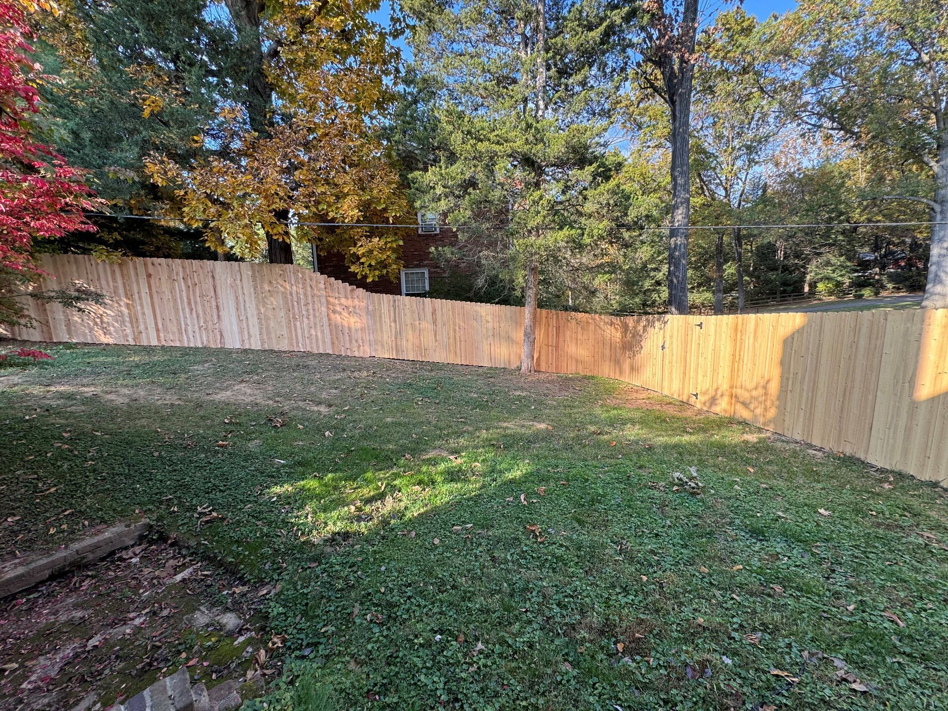 Backyard with grassy lawn, wooden fence, and autumn trees in warm sunlight