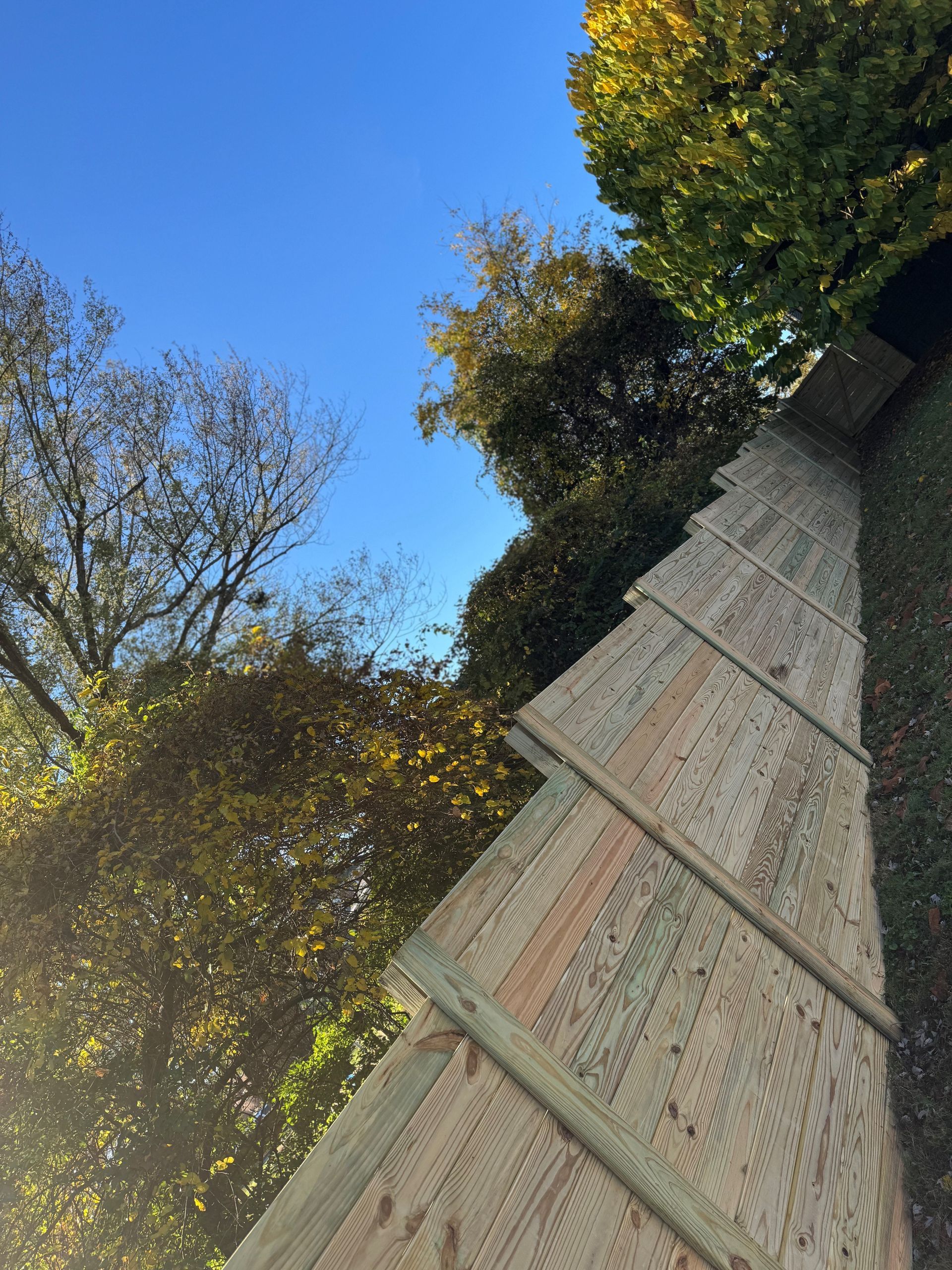 Tree-lined path beside a wooden fence under a bright blue sky