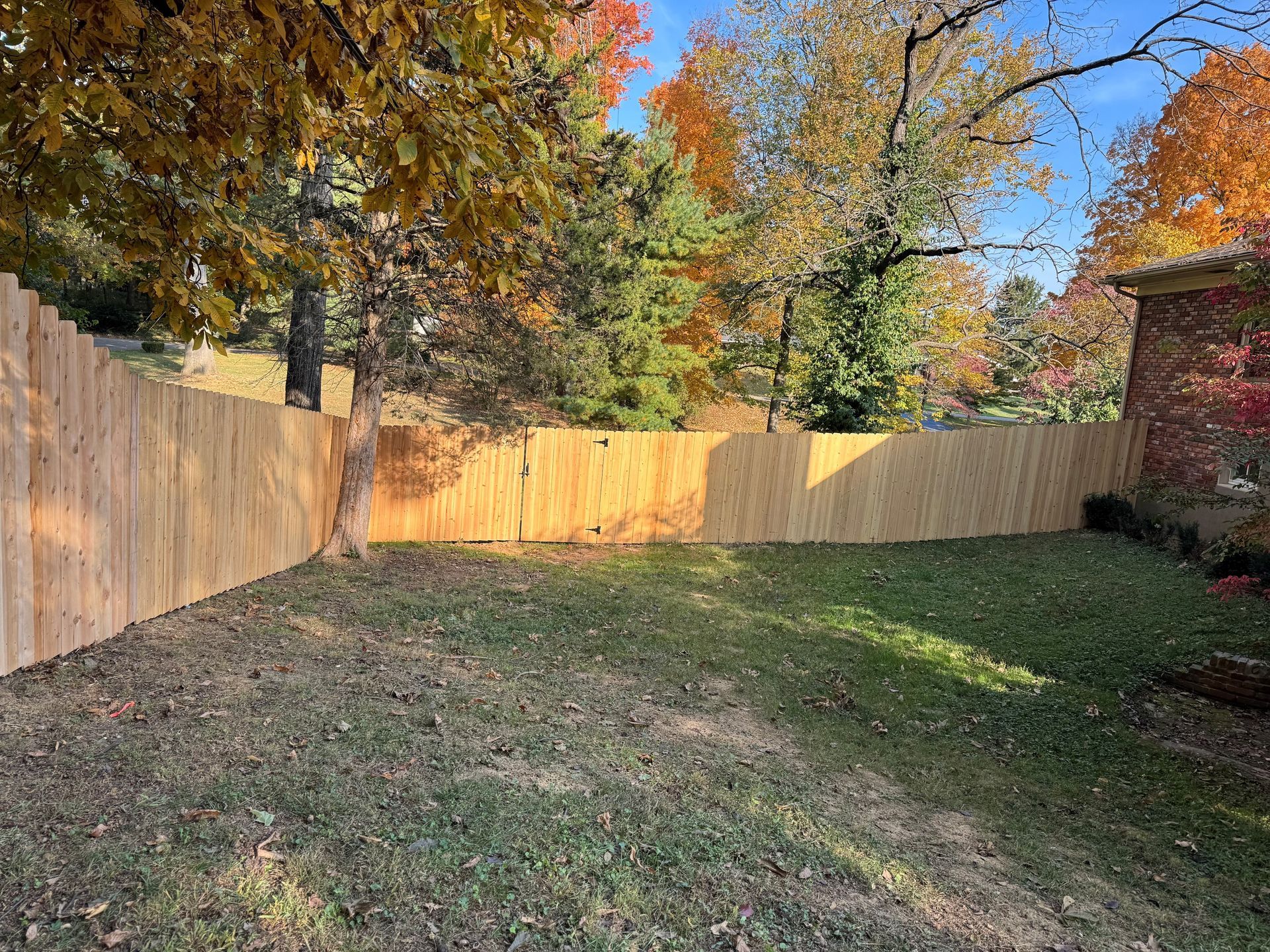 Leaf-strewn backyard with wooden fence and autumn trees in sunlight