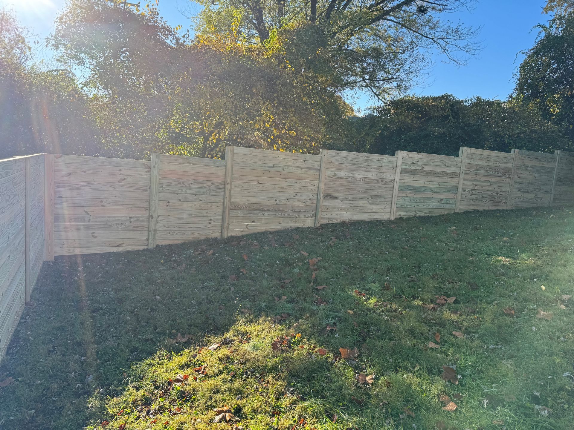 Sunlit backyard with a tan wooden fence and grassy lawn under trees