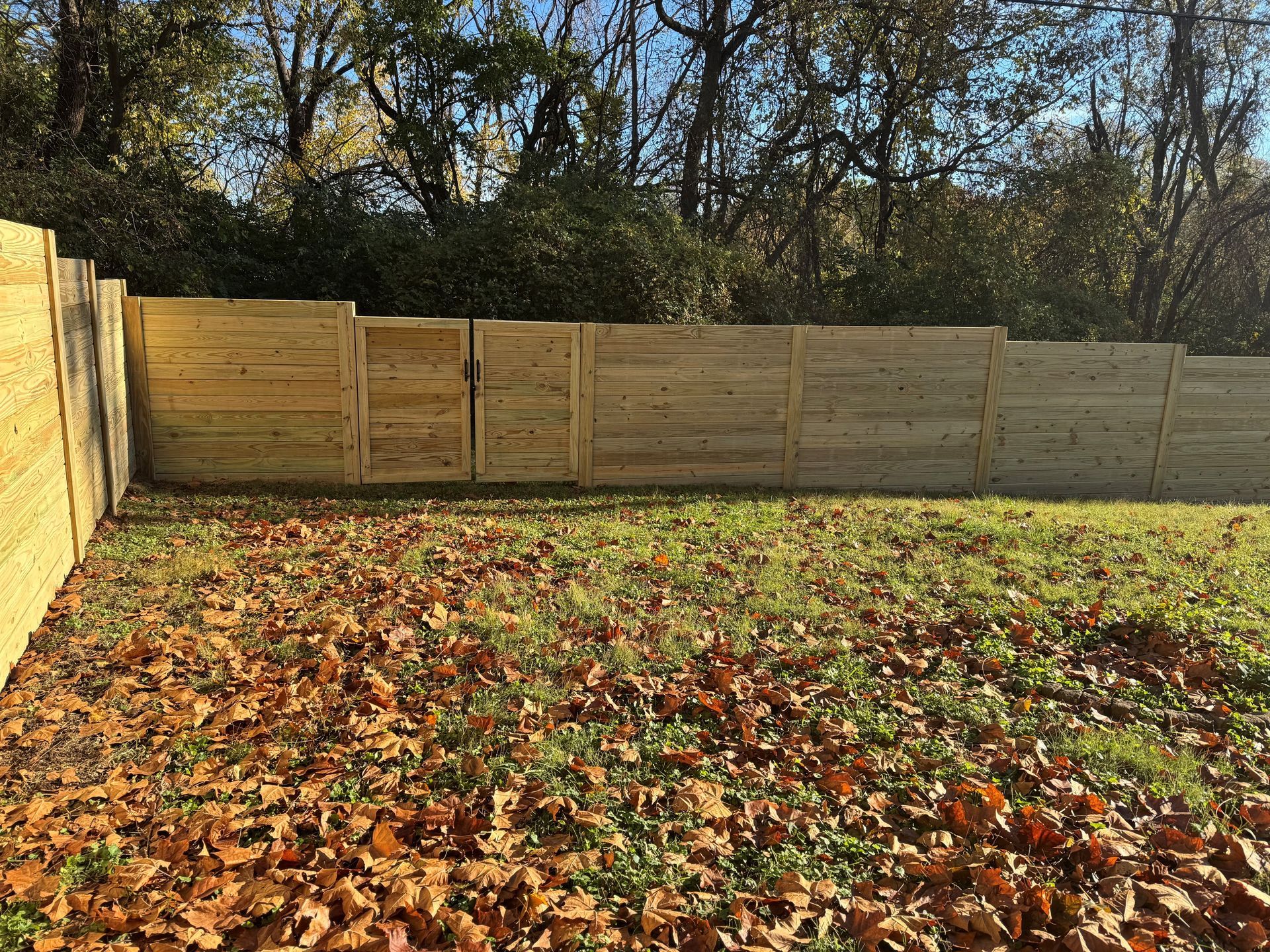 Leaf-covered backyard with a wooden fence and trees in the background.