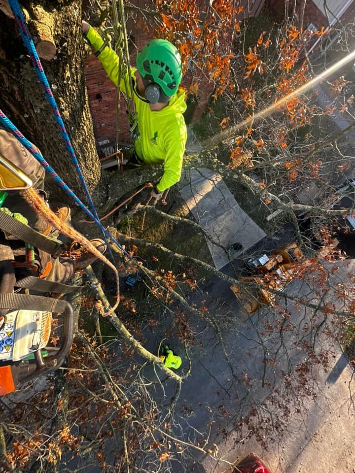 Adelino's Tree Service Pittsburgh