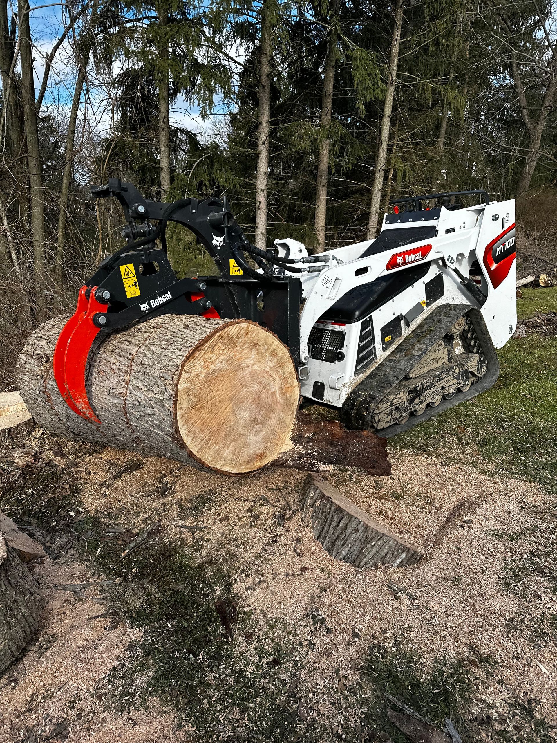 Tree Removal Pittsburgh