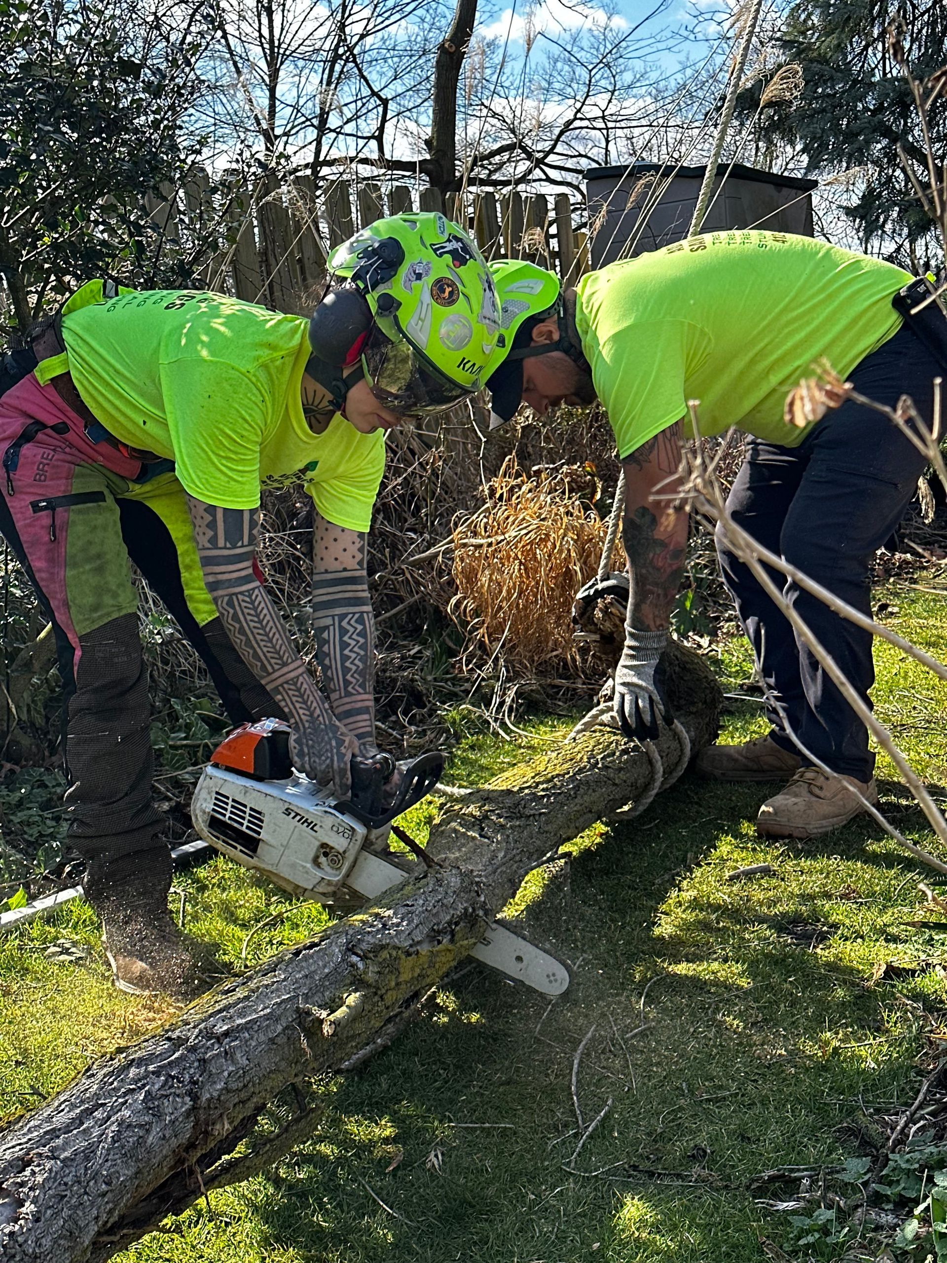 Adelino's Tree Service Pittsburgh