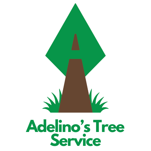 Art Tree Service Miami