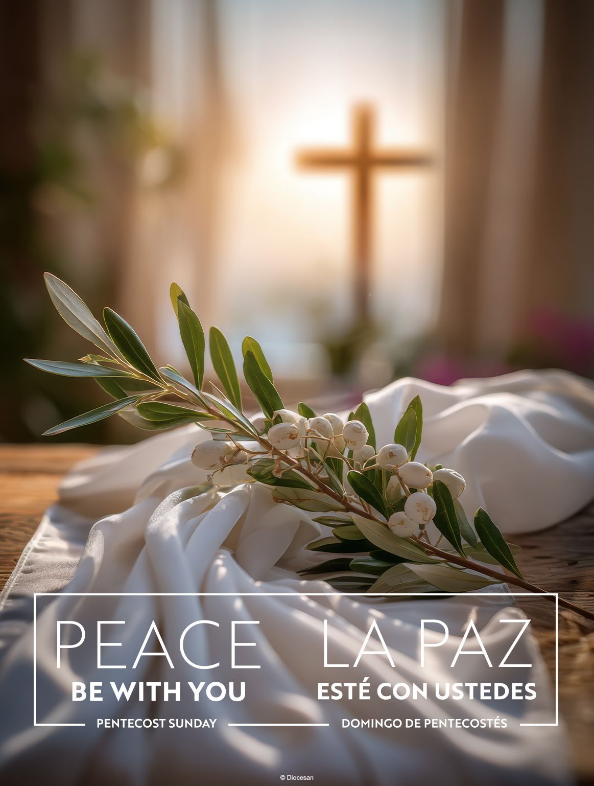 Olive branch on white cloth before a blurred cross, with “Peace / La paz” text overlay.