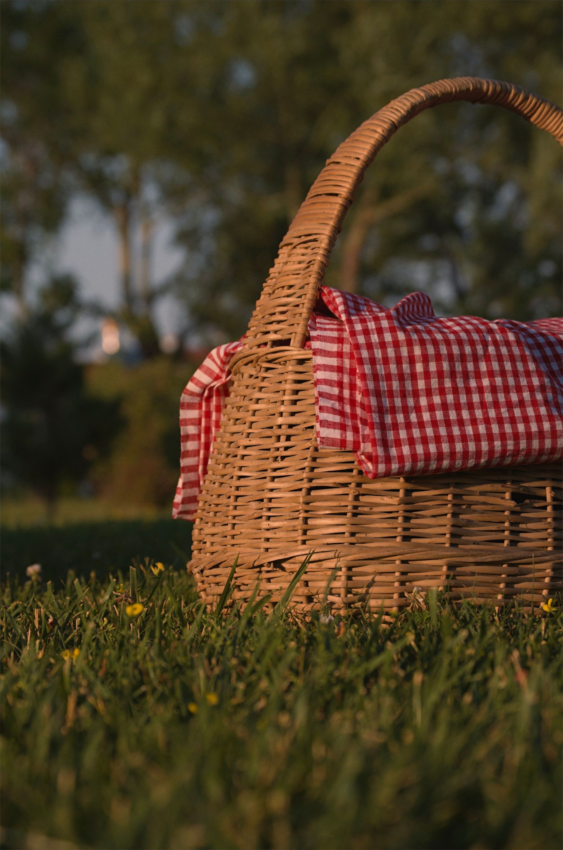 Woven picnic basket with red checkered cloth sitting in grass at sunset