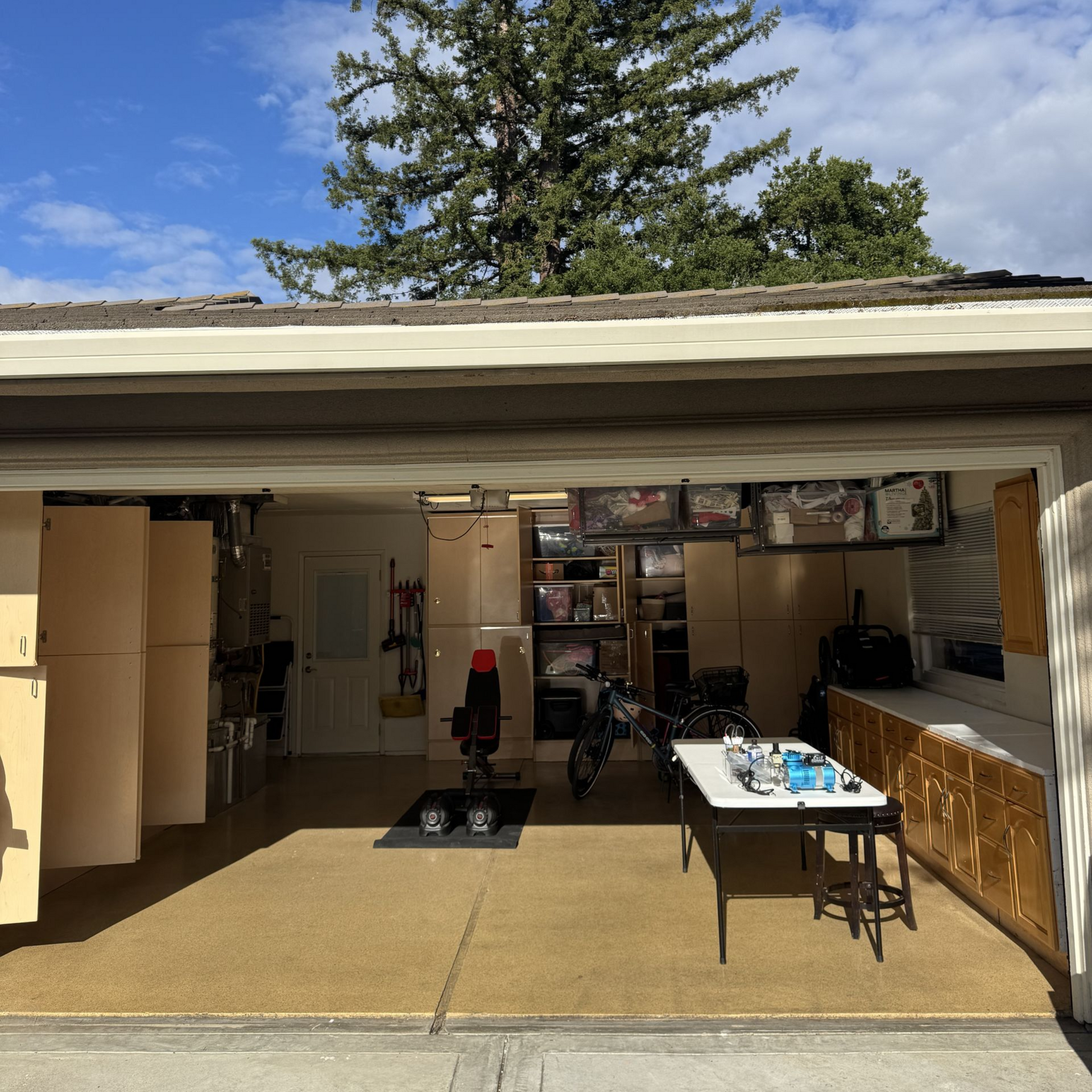 Organized garage with labeled overhead bins and clear floor space, East Bay