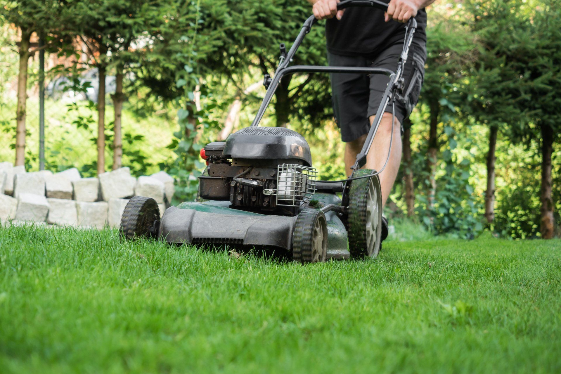 Manutenzione aree verdi e giardinaggi