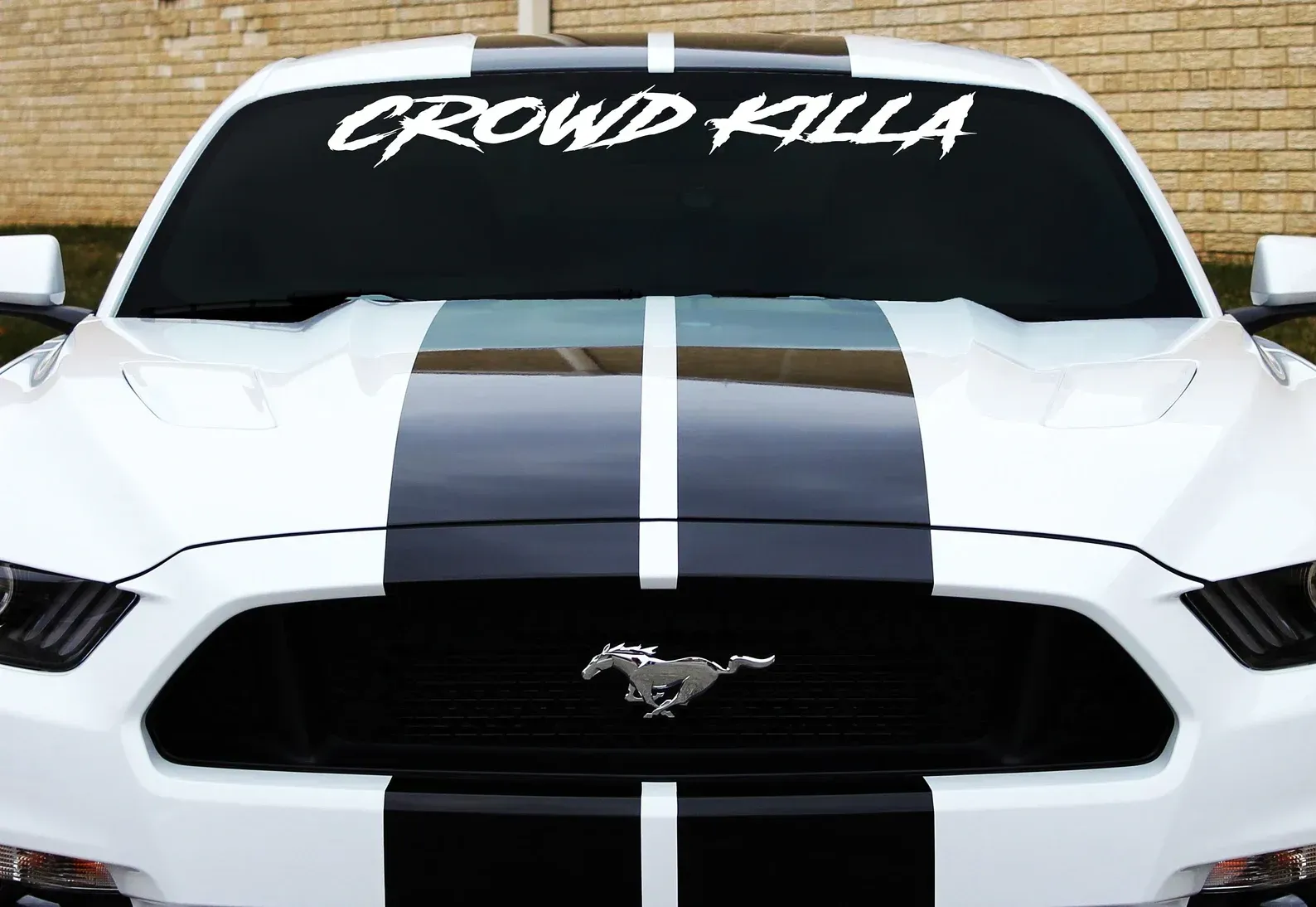 White Mustang with black racing stripes and 