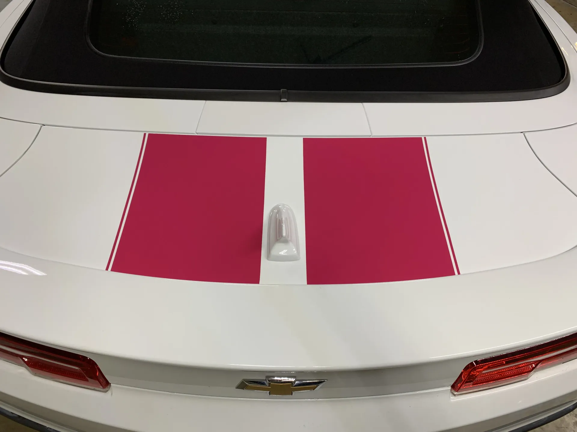 White car trunk with a dark pink racing stripe and white thin border, with a silver antenna.