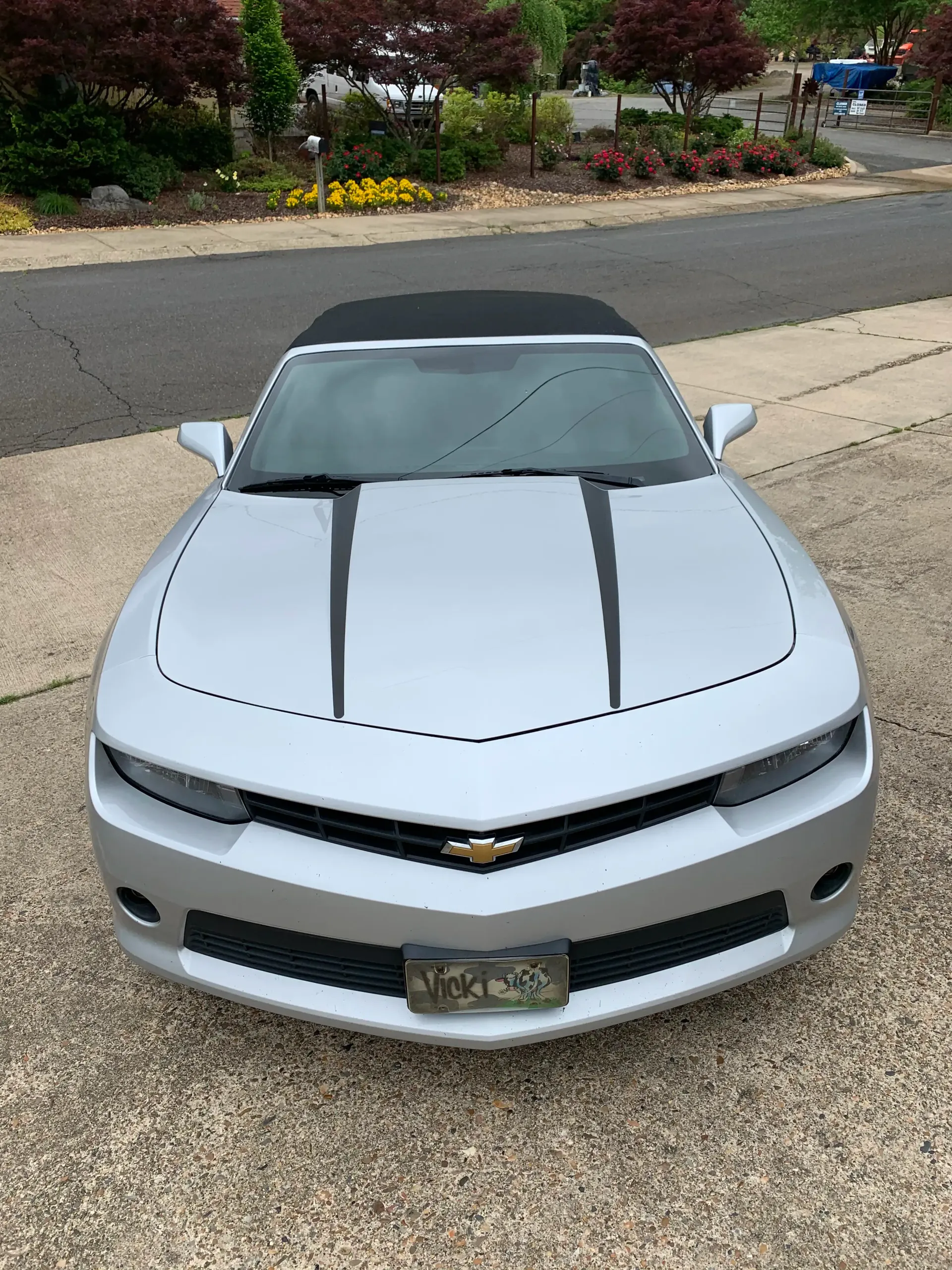 Silver Chevrolet Camaro convertible with black racing stripes, parked on a driveway.