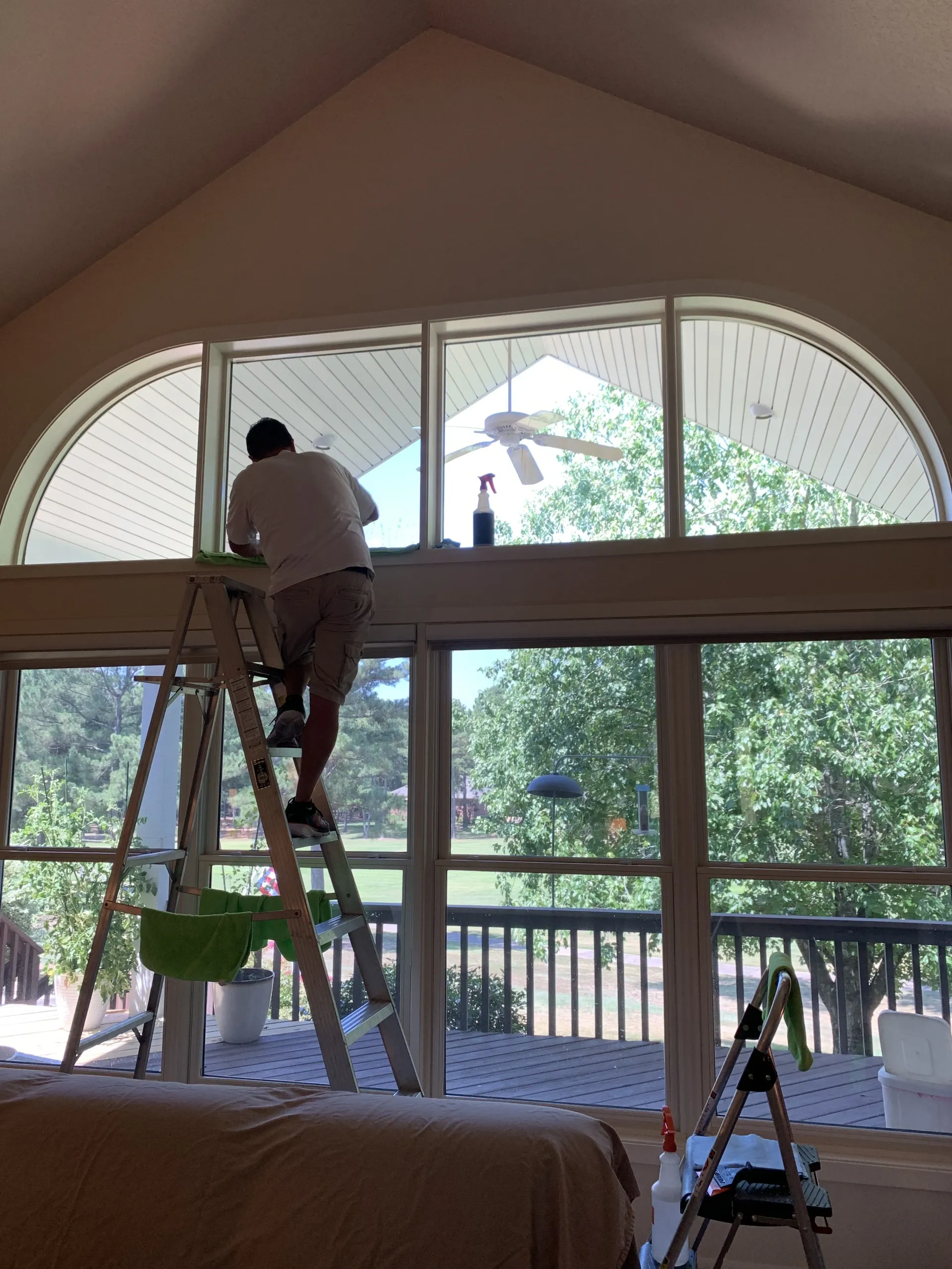 Person on a ladder cleaning a tall arched window. Green bucket, cleaning supplies visible. Trees seen through window.