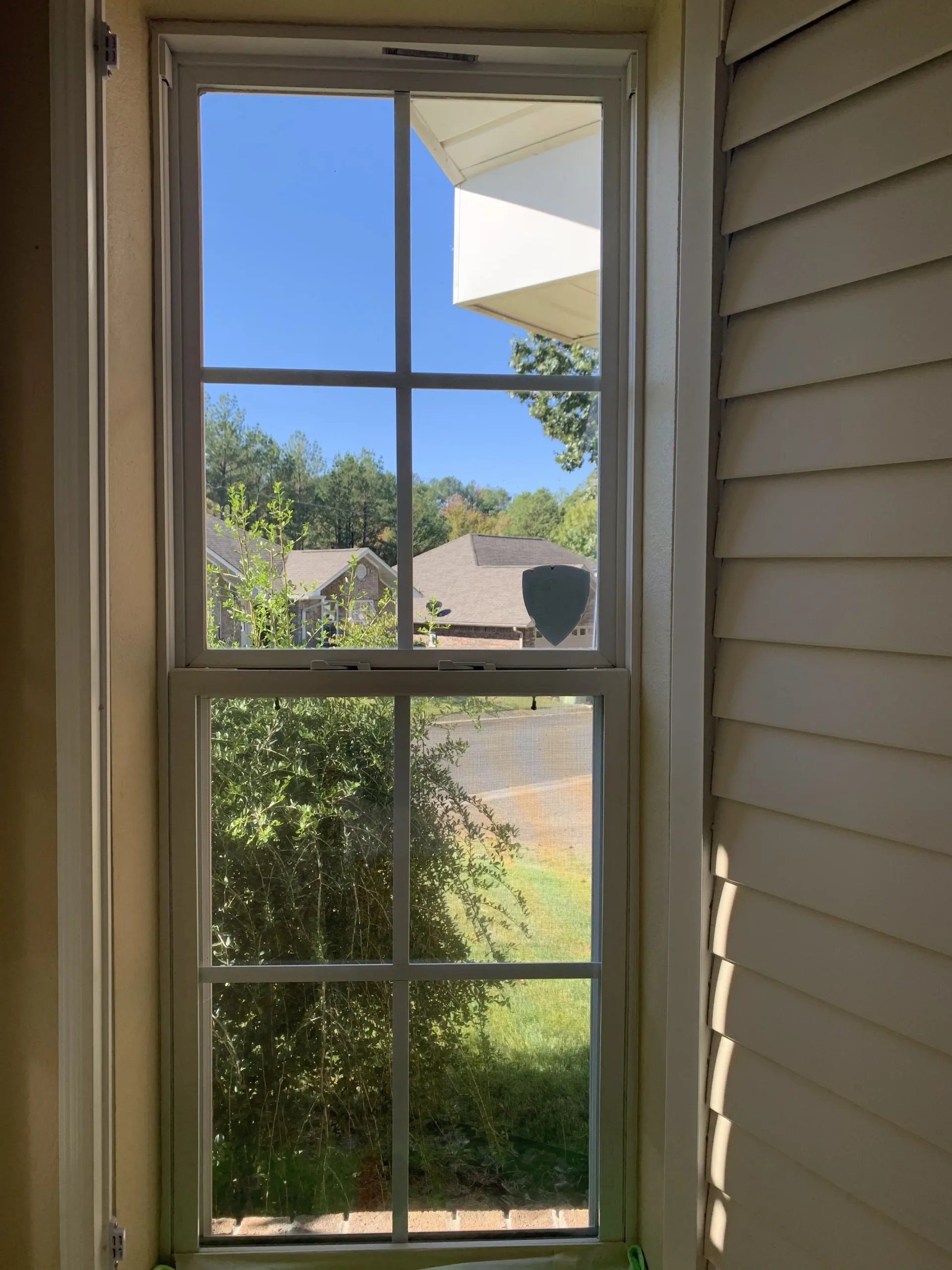 Window with white frame, paneled with blue sky, trees, and partial view of a building in background.