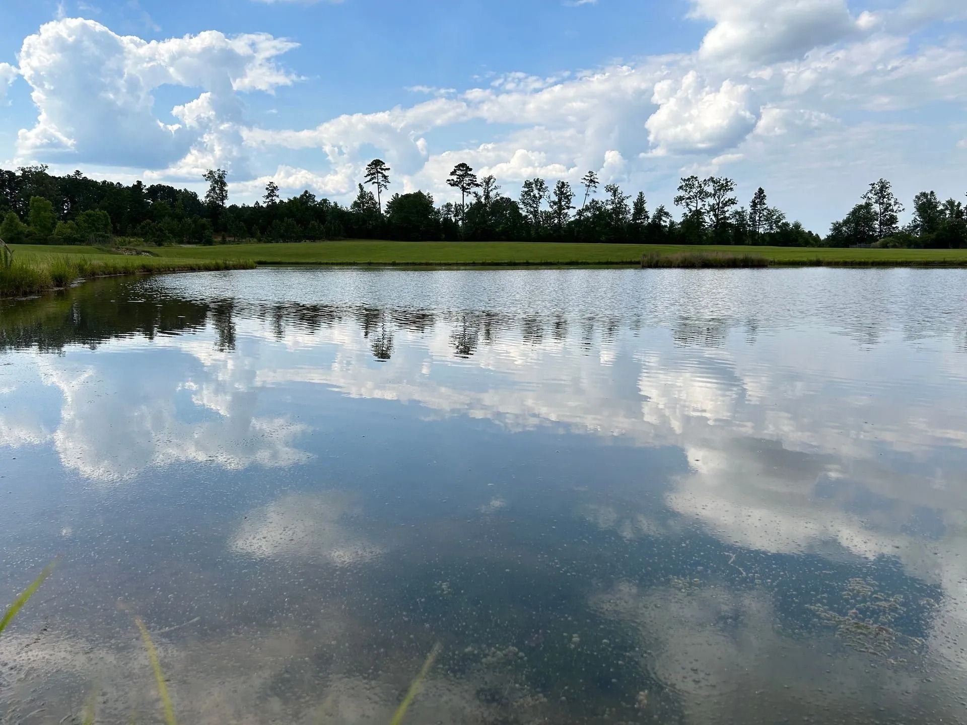Calm lake reflecting clouds and trees under a blue sky in a rural landscape