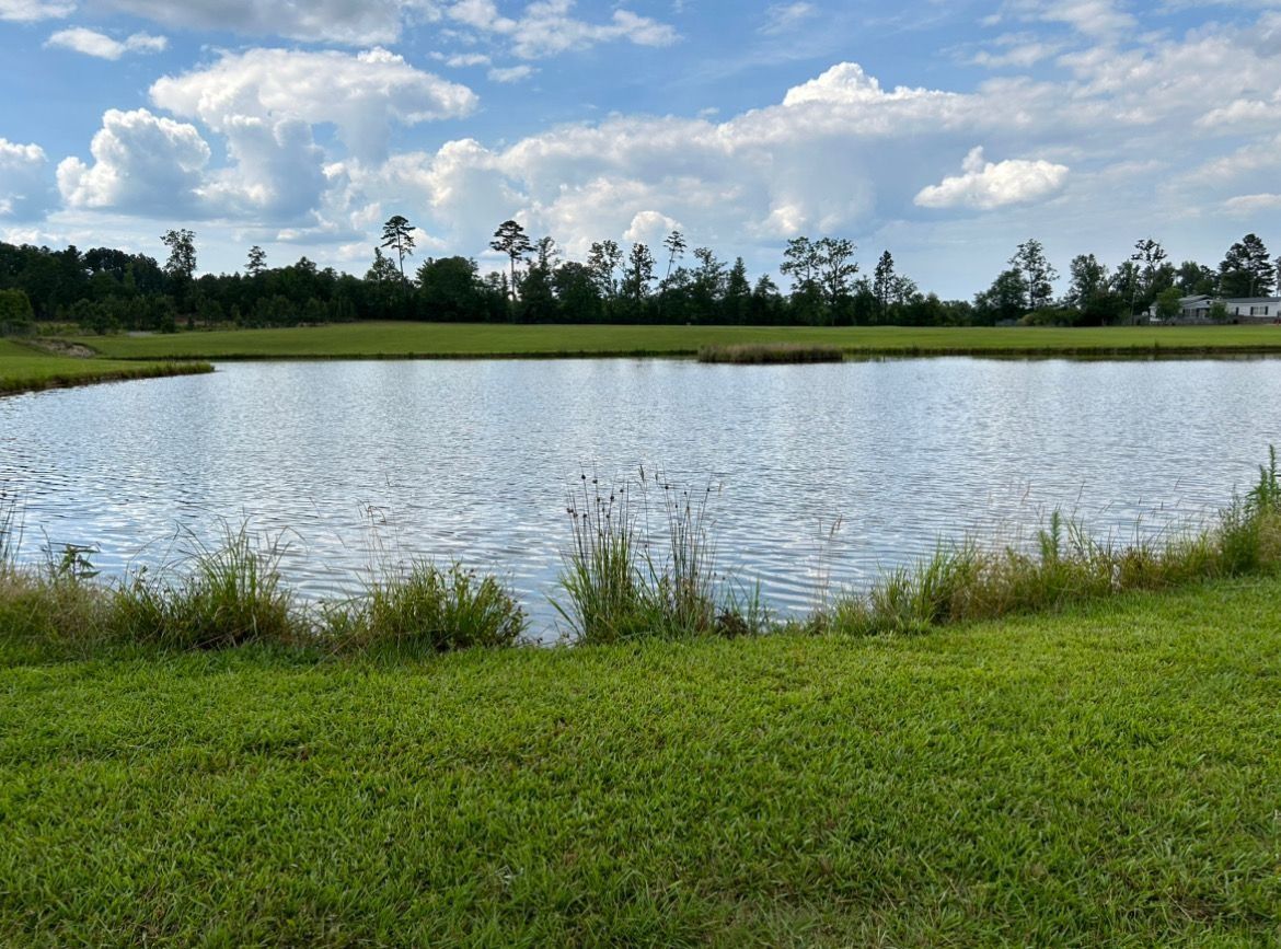 Calm pond bordered by green grass under a blue sky with scattered clouds