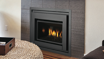 The Regency E-18 Gas Insert