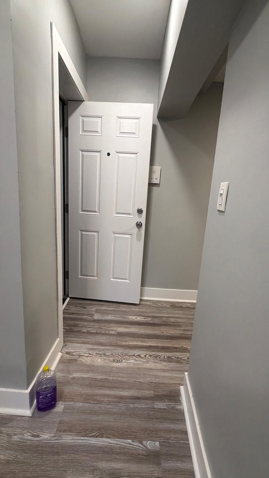 Narrow hallway with gray walls, wood-look floor, and a white paneled door at the end.