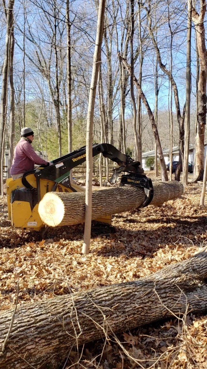 Person operating a yellow excavator in a leaf-covered wooded area, lifting logs with the claw.