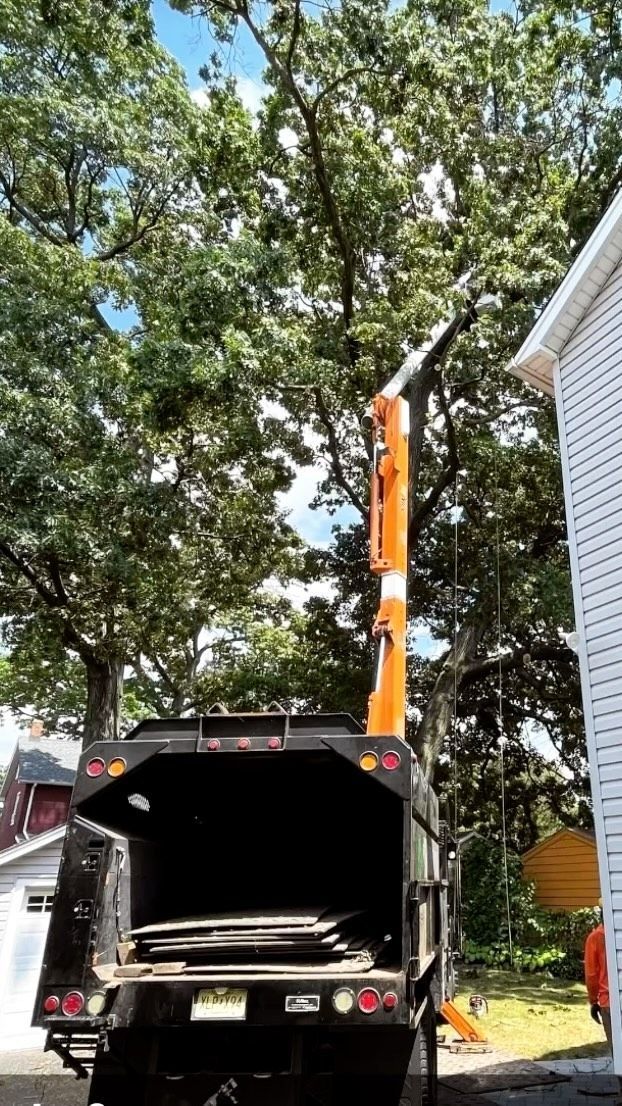 Garbage truck with orange boom arm lifting branches beside a house under tall trees