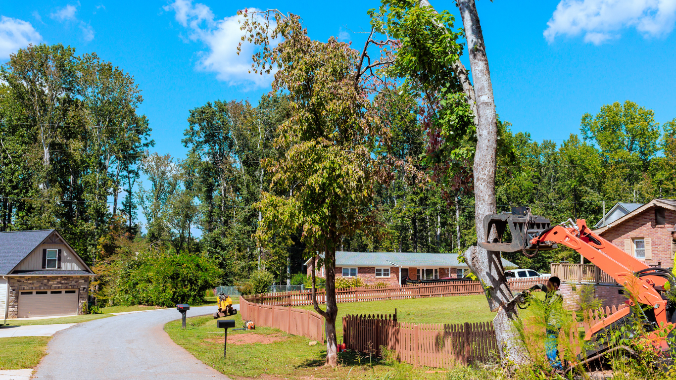 Rural driveway with houses, tall trees, red fencing, and an orange excavator clearing brush on the right