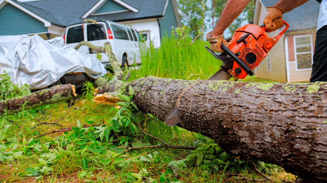 Chainsaw cutting a fallen tree trunk in a yard near a house and parked truck