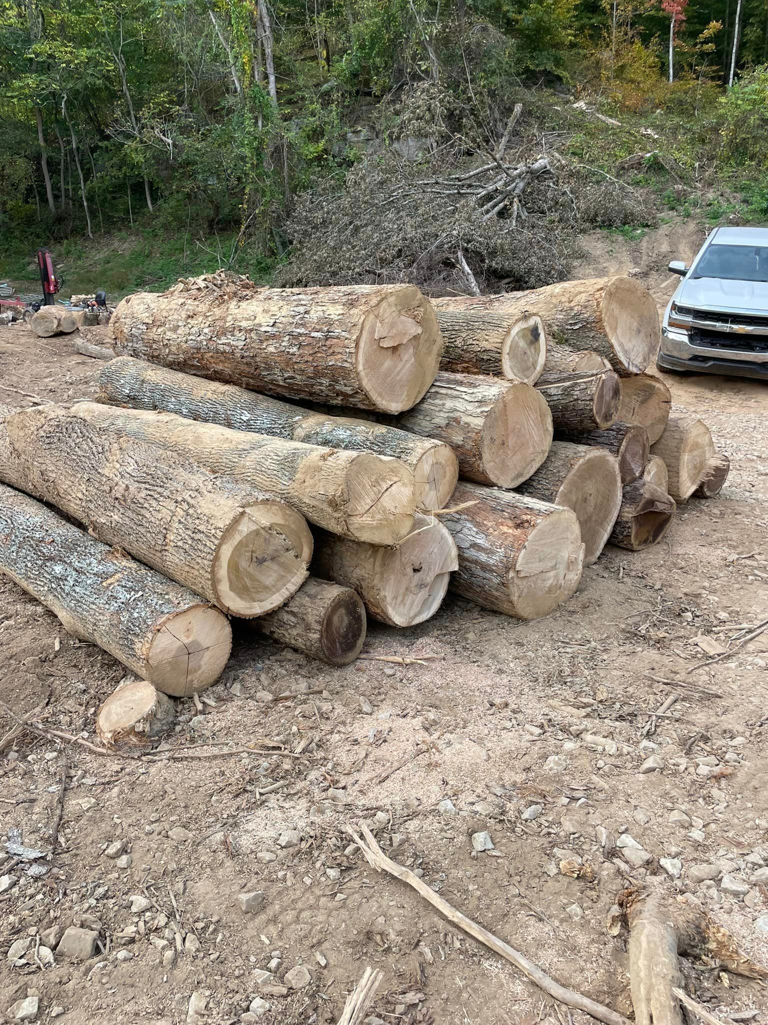 A House with a Garage Door and a Driveway in Front of It | Putnam County, WV | Jones Empire Tree Service