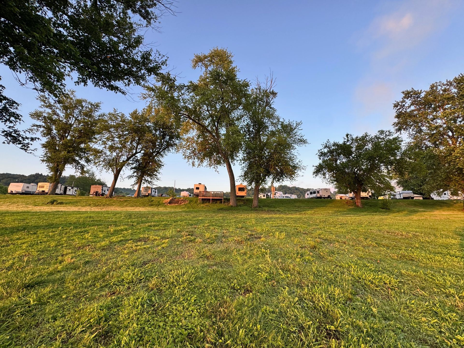 Wide grassy park at sunset with scattered trees and a blue sky
