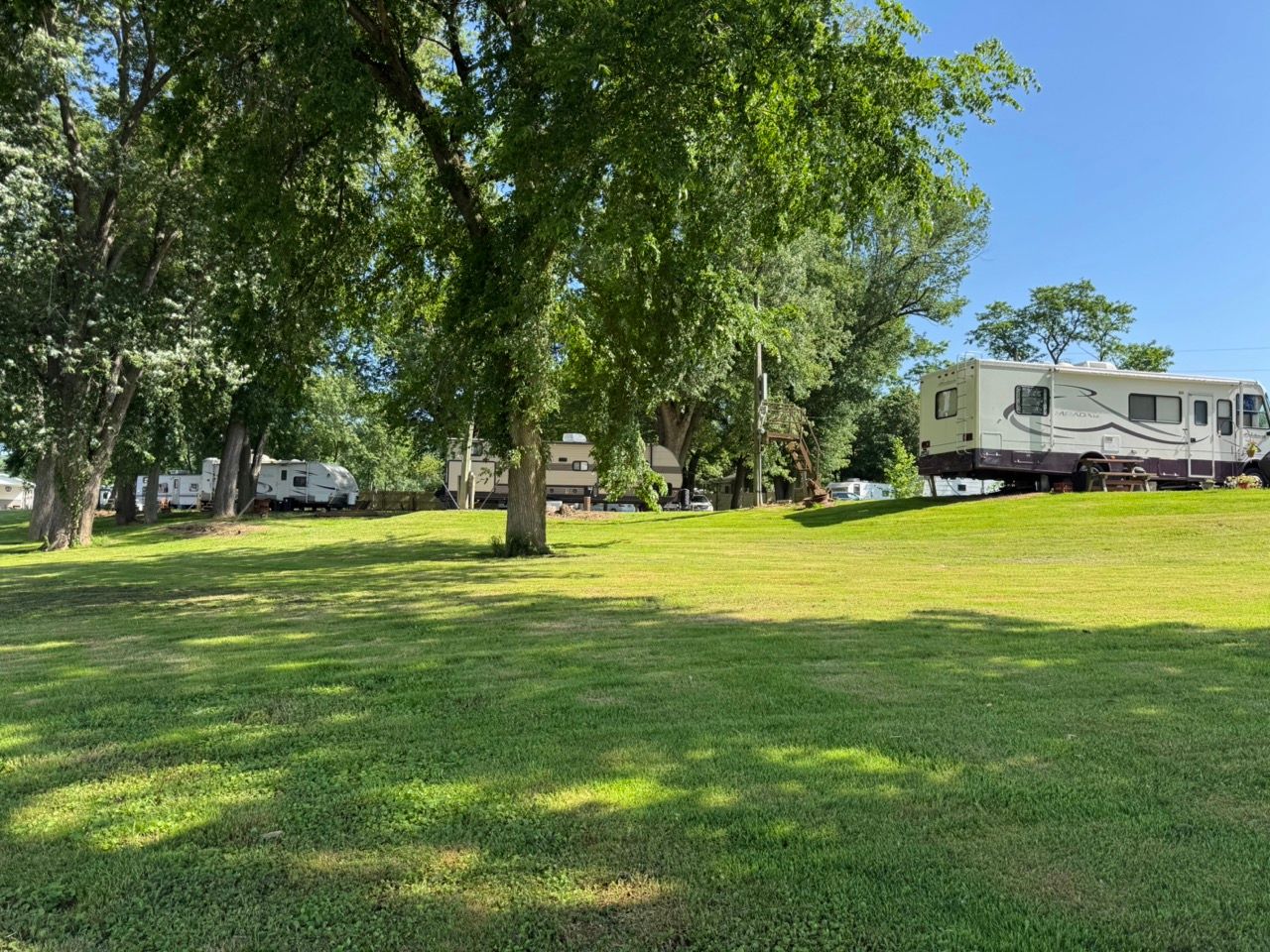 Grassy park with large trees and a white RV parked along the right side under a blue sky.