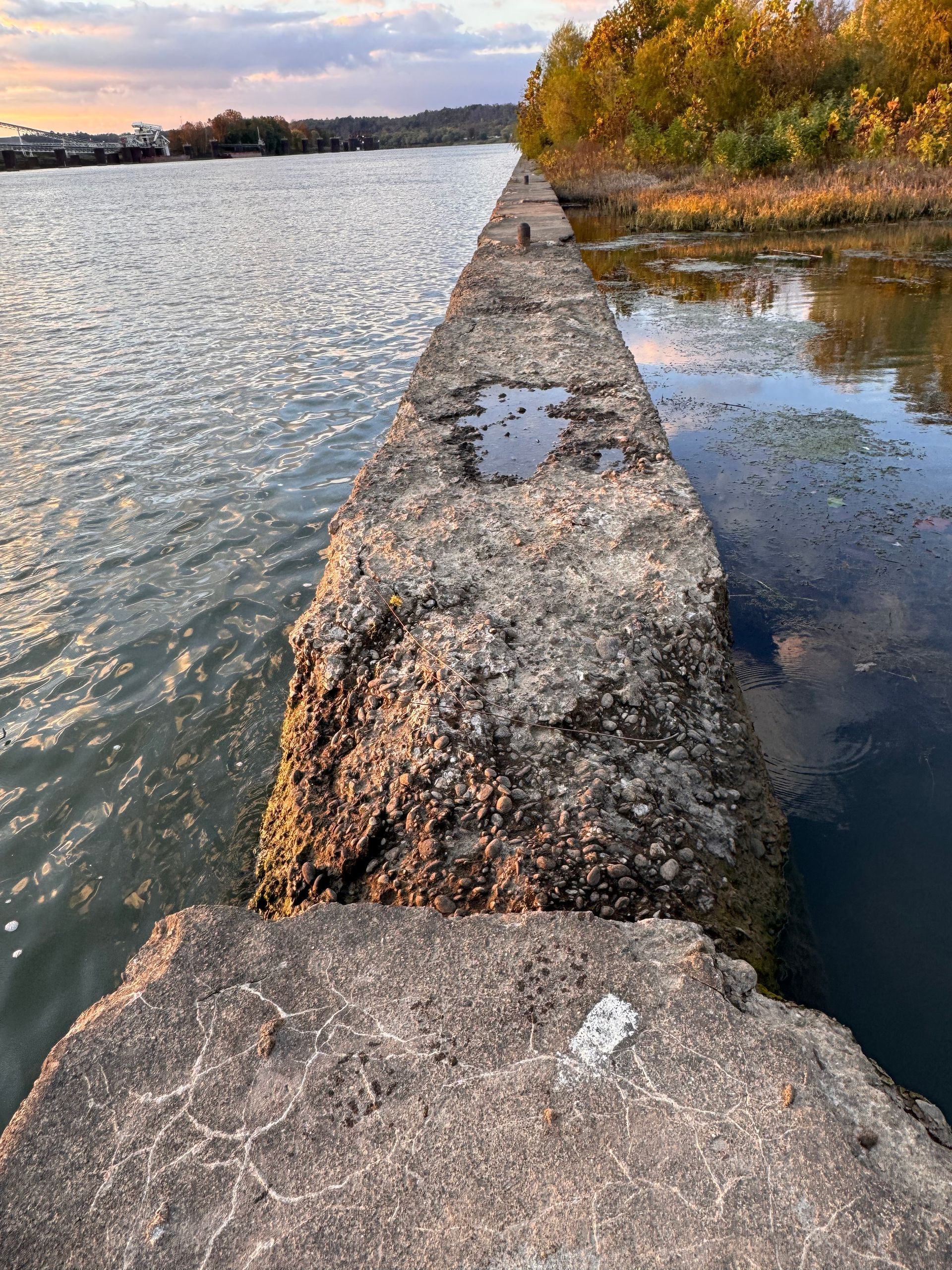 Narrow concrete jetty between water channels at sunset, with autumn trees on the right side