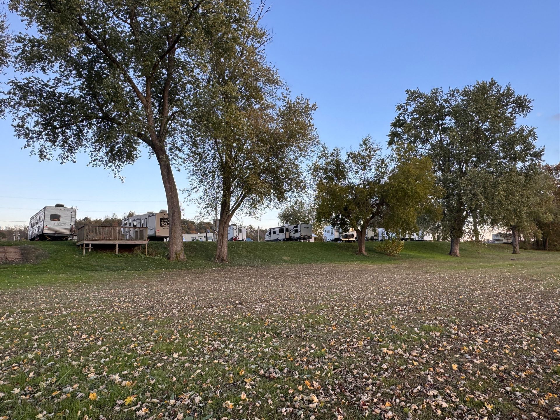 Park with scattered leaves, trees, and a wooden platform under a blue sky.