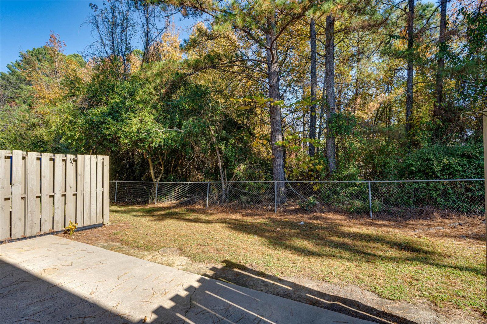 Backyard with wooden fence, chain-link fence, trees, and a concrete patio in bright sunlight