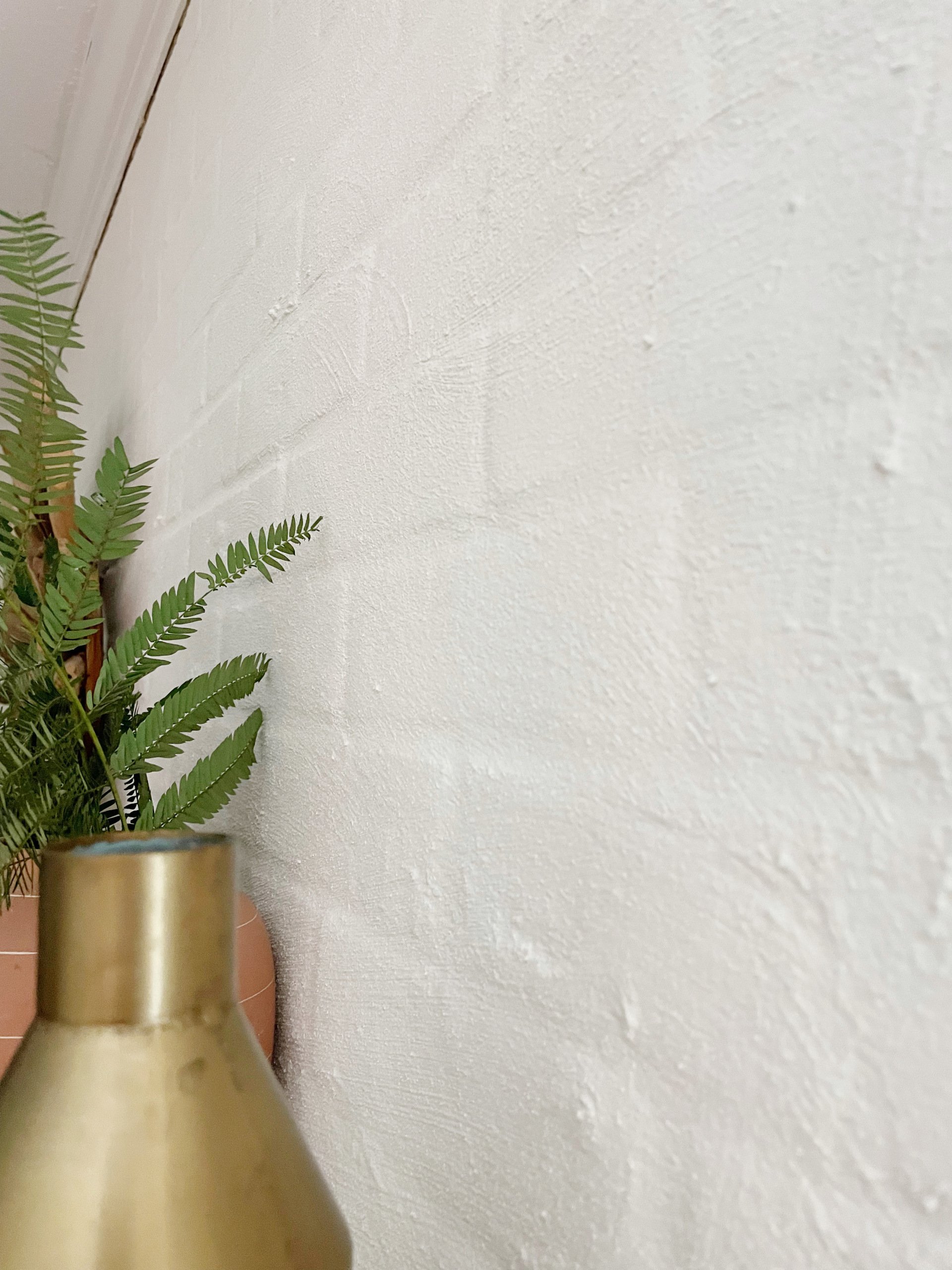 Fireplace Makeover with Romabio Lime Slurry