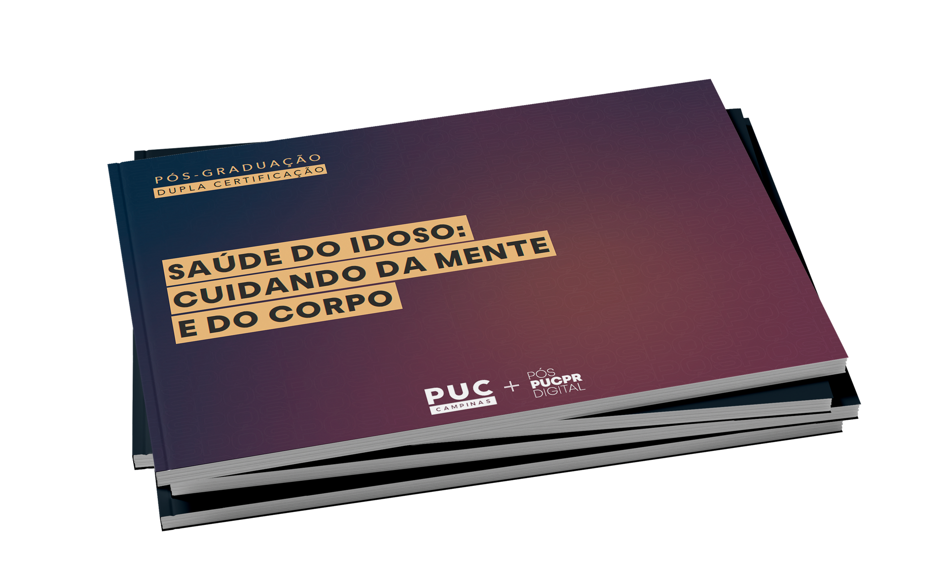 Guia do Curso