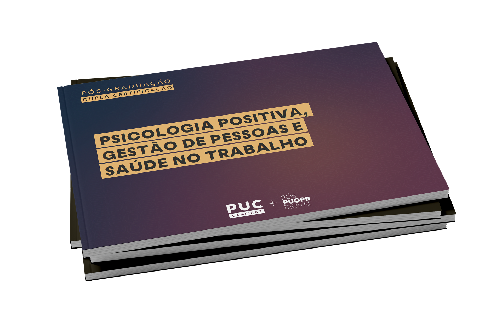 Guia do Curso