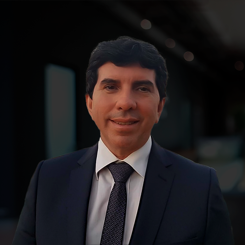 Governança Ágil de Projetos, Programas e Portfólios