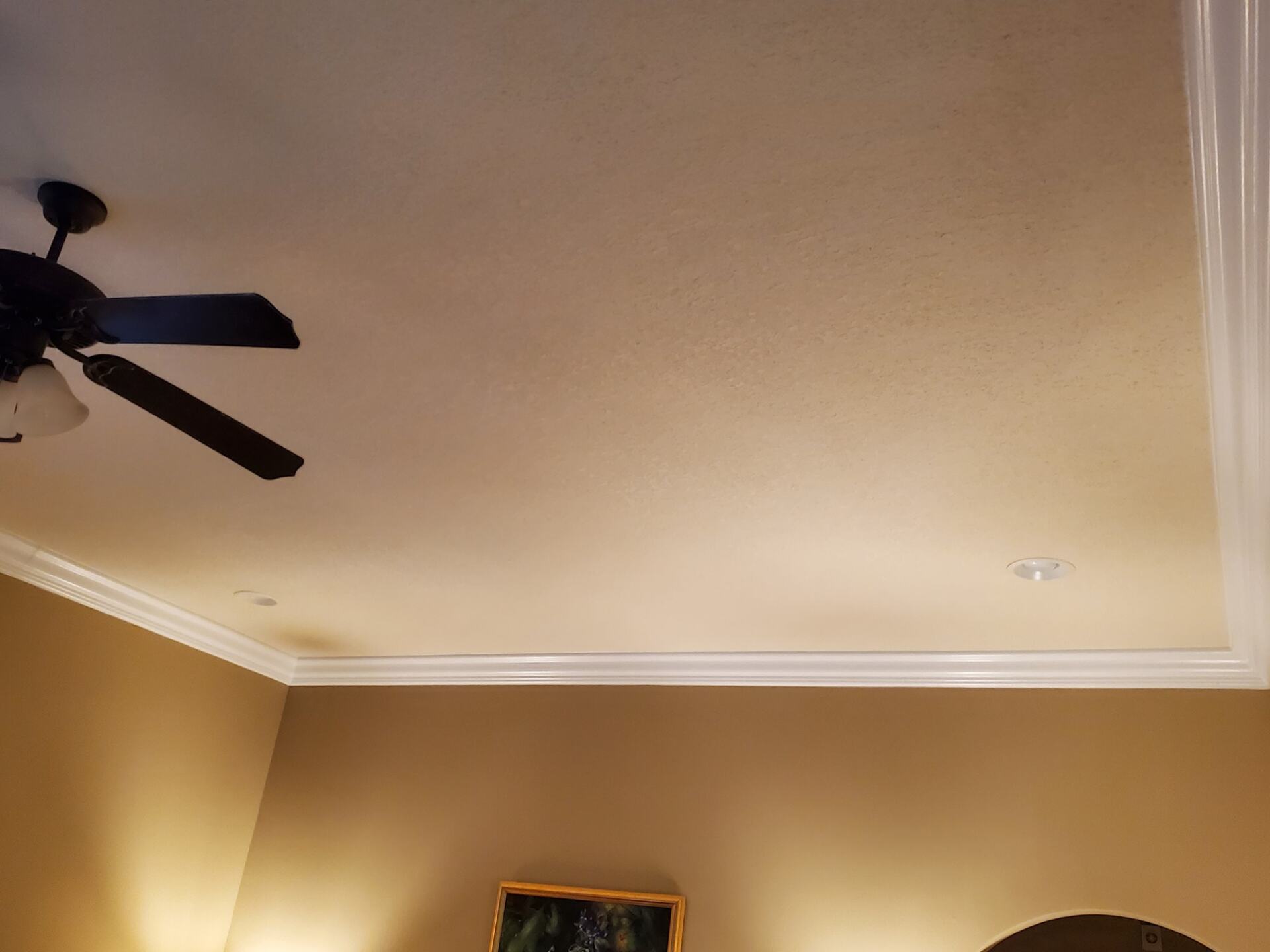 A bedroom with a ceiling fan and a picture on the wall