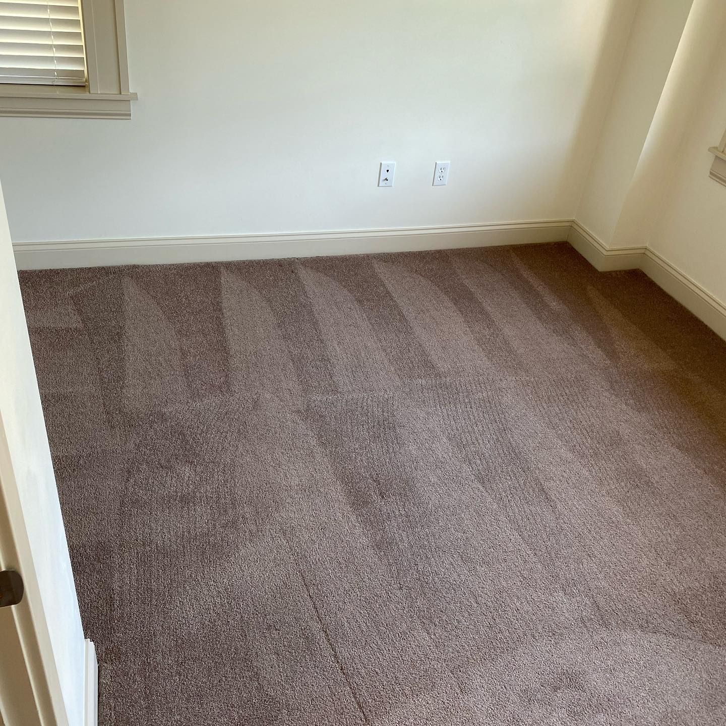 An empty room with beige carpet, white walls, two electrical outlets, and a window with white horizontal blinds.